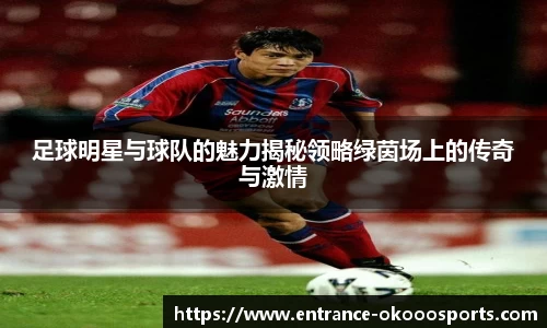 足球明星与球队的魅力揭秘领略绿茵场上的传奇与激情